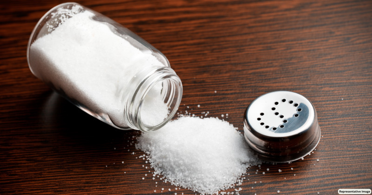 Tame Your Salt Intake Wisely to Live a Disease-free Life